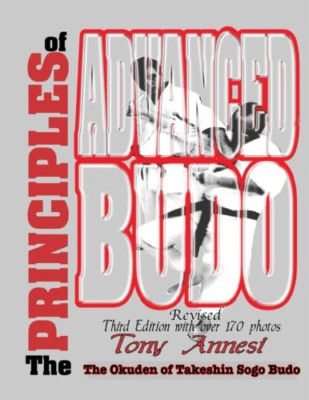 The Principles of Advanced Budo: The Okuden of Takeshin - Paperback NEW Annesi,