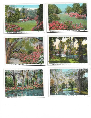 Antique Lot of 10 South Carolina Mini Magnolia Flower Gardens Postcards Envelope - Picture 5 of 8