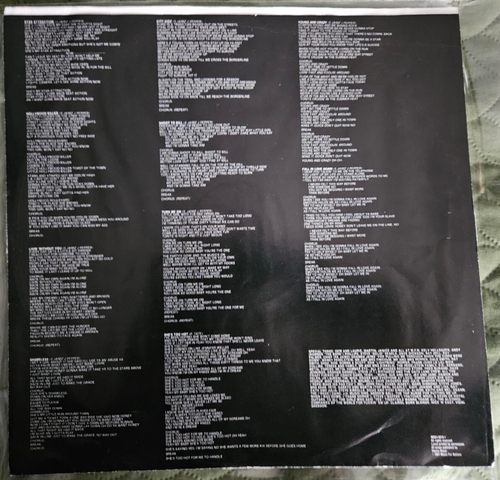 Tigertailz - Young and Crazy (1987 Relativity/Combat) Original Pressing LP RARE - Imagen 3 de 6
