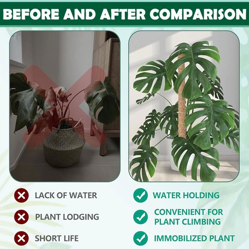 4PCS Bendable Moss Pole Plant Support Stakes for Monstera Climbing Plants Indoor - Picture 2 of 9