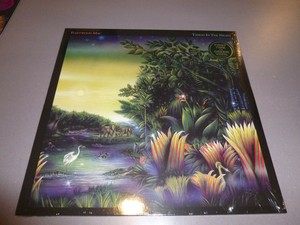Fleetwood Mac Tango In The Night Lp Ltd Green Vinyl Neu Ovp Ebay ebay