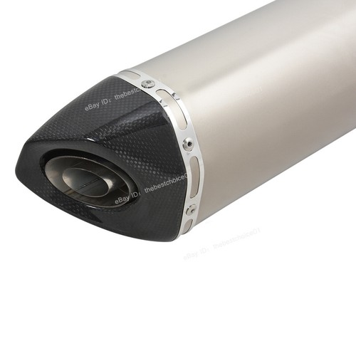 Sistema de punta silenciador de tubería de eslabón medio de escape de fábrica 17-20 para Aprilia Tuono 1100 V4 - Imagen 8 de 12