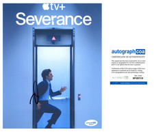 Adam Scott ‘Severance’ Signed 8x10 Photo ‘Mark Scout’ ACOA