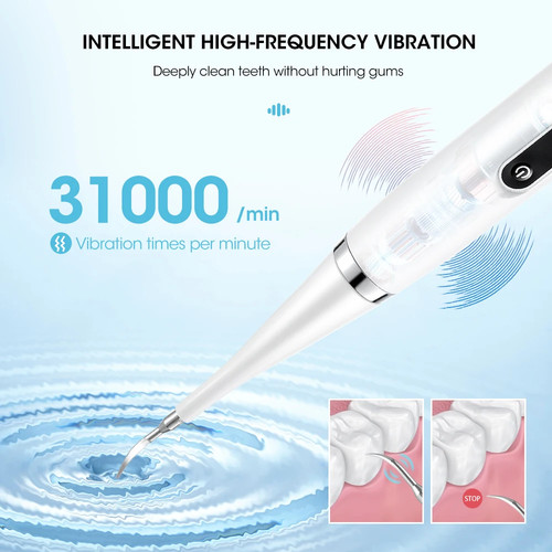 Electric Teeth Whitening Dental Calculus Scaler Plaque Coffee Stain Tartar - Bild 7 von 30