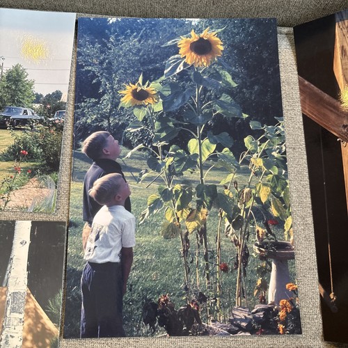 1960’s 12” x 8” Home, Camping and Kids Photos - Bild 3 von 10