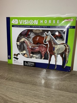 4D Master 4D Vision Horse Anatomy Model 26 Detachable Parts Veterinary Lab