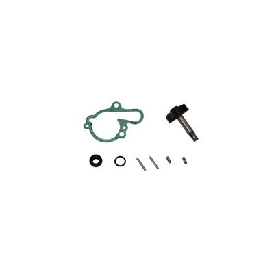 50 TZR / DT / X-LIMIT / POWER / RS / RX / MRX / RS1 / RR / XP6 - REPARATURKIT P