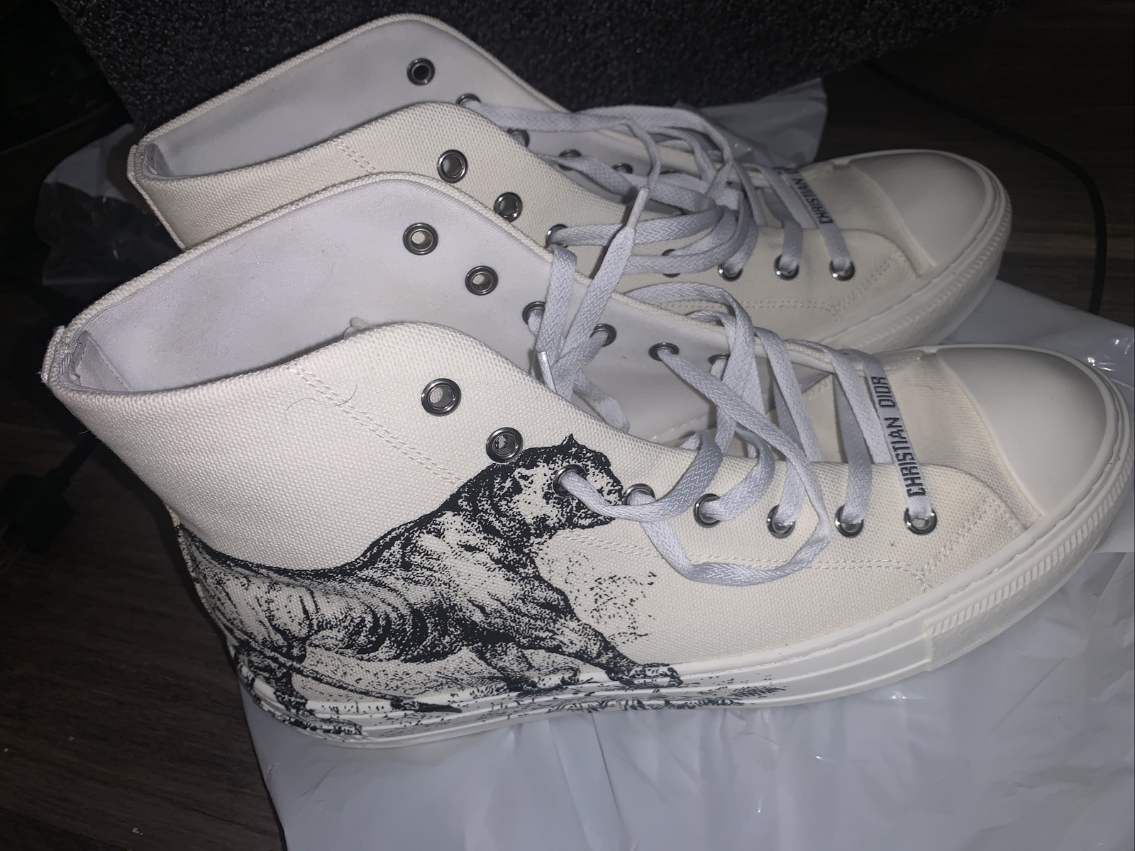 Dior “Walk’N Dior” Tiger sneaker 42 uS 9