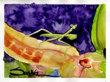 Mantis : Sandra Watercolors™  : ORIGINAL PAINTING Small Tantalizing Art to Frame