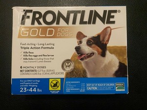 frontline gold flea