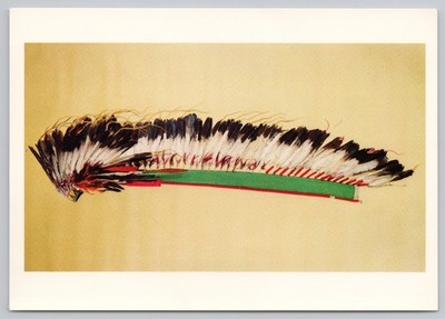 Postcard Cheyenne Indian Headdress 4x6