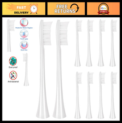 10 Replacement Toothbrush Heads for Electric Toothbrushes - Fits Boka 2.0 & 3.0,