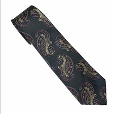 Silk Accents Paisley Silk Men's Tie