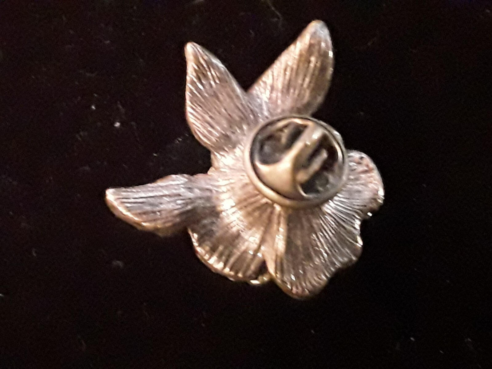 Picture 4 of 5