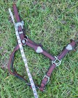 Collier De Poitrine Vogt Vintage - Argent Sterling Et Cuir - Western Show