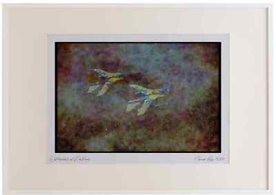 034019 Panavia PA 200 Tornado IDS _ German Air Force Watercolour Picture Frame