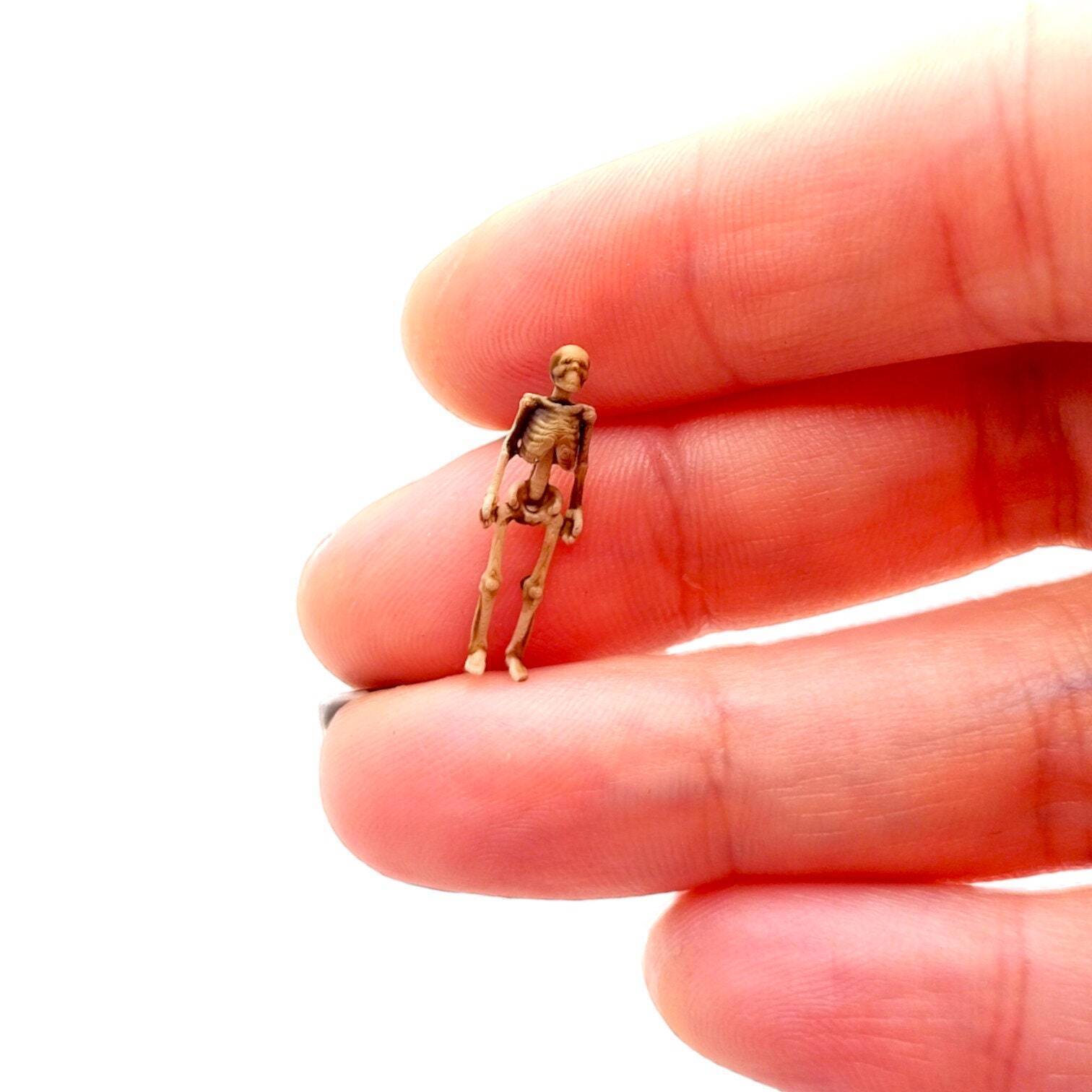 Human Skeleton - HO scale (1:87) Artisan Dollhouse Miniature Art Supplies