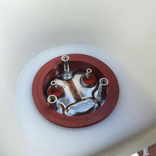 Earlex SS50 Steam Wallpaper Stripper 2000 Watt for sale online eBay