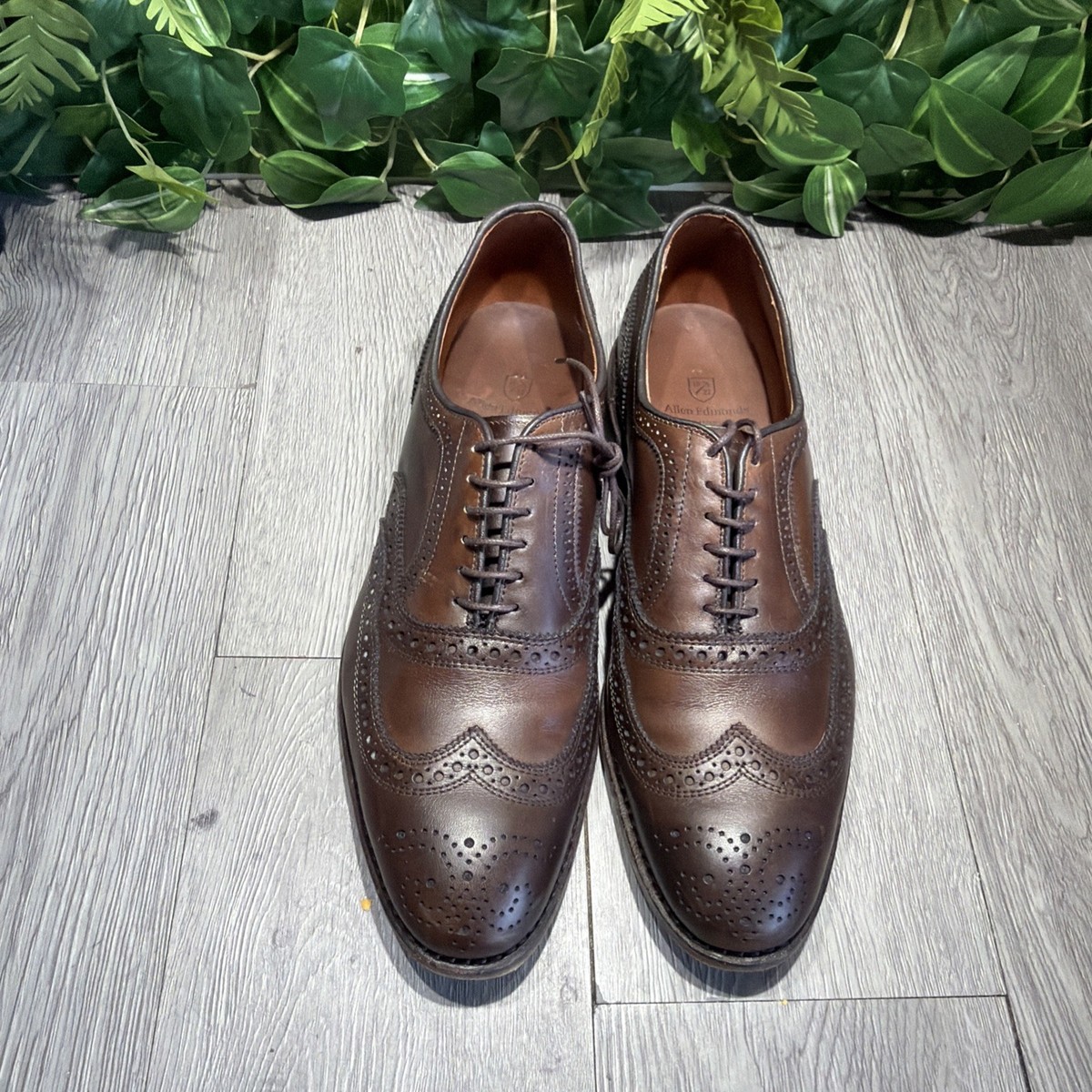 Allen Edmonds McAllister Wingtip Oxford Dress Shoe Men\'s 10 Chili Leather McAllister Wingtip Oxford Dress Shoe | Men main image 4
