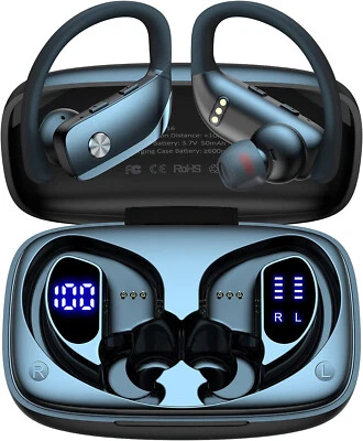 BMANI T16 True Wireless Earbuds, 5.0 HiFi Dual LED Display, Black