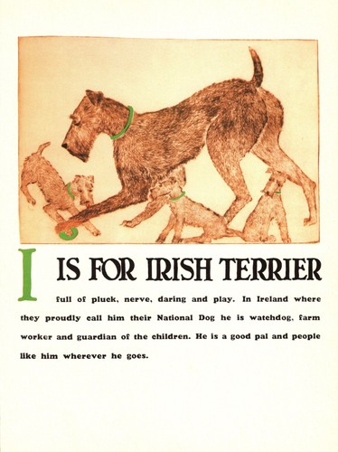 Vintage Irish Terrier Print Letter H Alphabet ABC Print Wall Art Decor 6047i