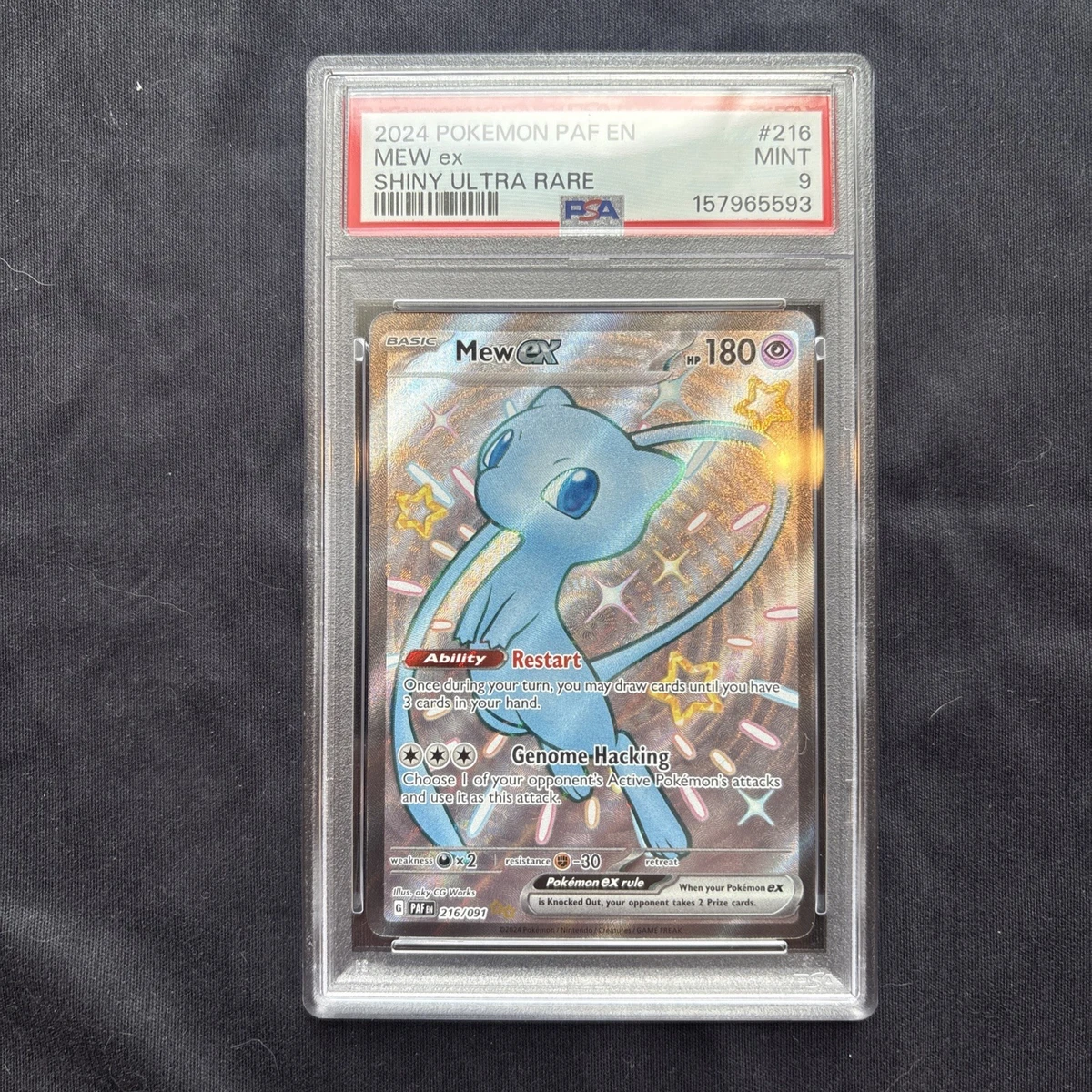 ミーア PSA9 英語版 Mew Pokémon TCG Professional Sports Authenticator (PSA) Individual