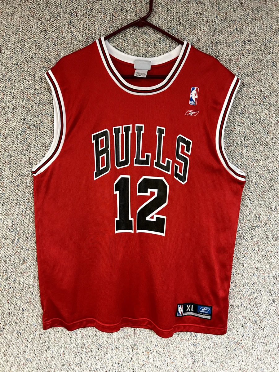 Kirk Hinrich Jersey In Nba Fan Apparel & Souvenirs for sale | eBay