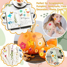 235 Pcs Pressed Dried Flowers Resin Natural Real Crafts Bulk Dry Molds Candles