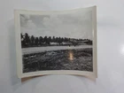 WW2 Photo Aircraft On Strip Trees Photograph Airplane Military Plane WW II WWII