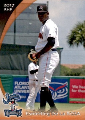 2017 Jupiter Hammerheads Grandstand #10 Esmerling De La Rosa Dominican Republic