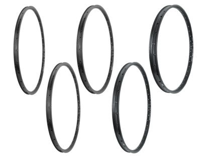 Black Dingo DH Disc Felge 36L wählbar 19mm,21mm,25mm,30mm,35mm 26'' 27,5'' 28'' 29''