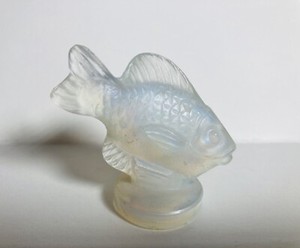 Sabino Fish | eBay