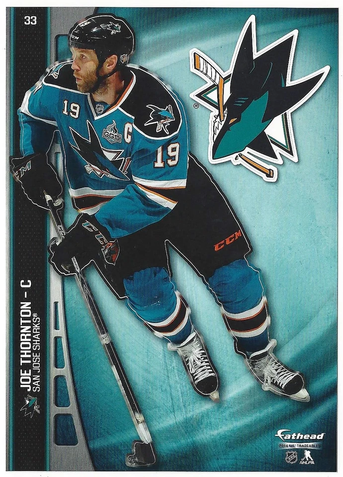 СЪЕМНАЯ НАКЛЕЙКА С ЛОГОТИПОМ DAVID BACKES FATHEAD TRADEABLES ST LOUIS BLUES 2014 NO43  - Изображение 3 из 4