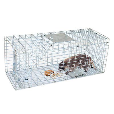 32 x 12.5 x 12''Animals Trap Steel Cage Round Inside Edges for Live Raccoons