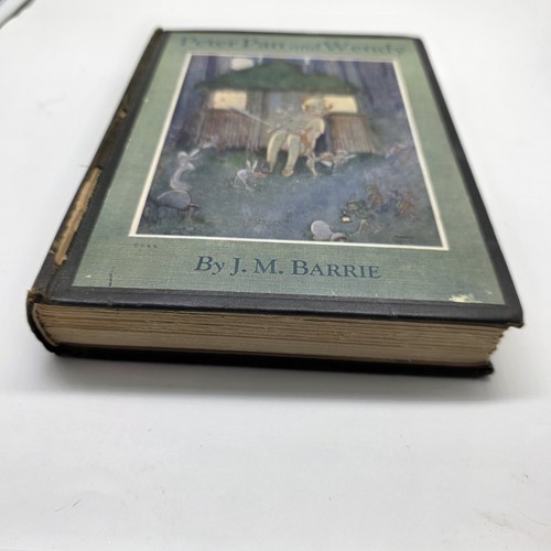 Peter Pan & Wendy J. M. Barrie Attwell Charles Scribner's 1925 Illustrated Cloth - Picture 3 of 20