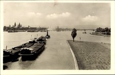 Ak Mainz am Rhein, Mainspitze, Frachtschiffe, Sadt - 4948046