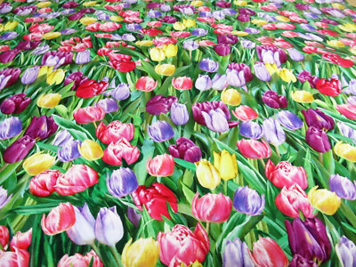 Tulpen  Tulip Frühling Ostern Baumwolle Timeless  Patchworkstoff  50x110 cm
