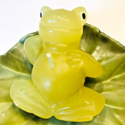 6 Floating Candles Frogs and Turtles on Lily Pads Six in Total Never Burned