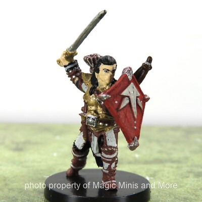 Iconic Heroes Evolved ~ VALEROS HUMAN FIGHTER 1 Pathfinder Battles set miniature