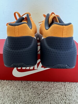 Nike Air Zoom TR 1 Sun Dial DX9016-706 Men's Cross Training