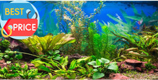 48X18 Inches Aquarium Background Aquatic Plant River Bed Lake Fish Tank Backgr