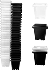 2 Inch Square Plant Nursery Pots (Black+Clear),50Pcs Seedling Planter Seed Start