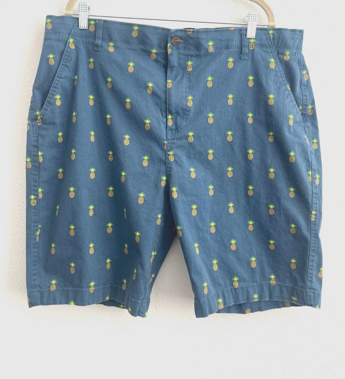 Plugg Flex Men's Size 38 Pineapple Print Shorts Stretch Beachwear Blue Vacation
