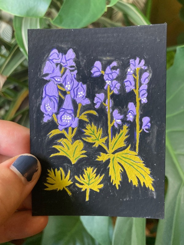 ACEO Original Painting, Poison Garden Wolfsbane, Goth Botanical Flowers Art Card
