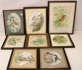 J. BAYLEY Birds And Squirrel SIGNED ORIGINAL Watercolour Drawings FRAMED M27