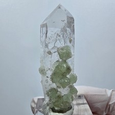 Lemurian quartz with prehnite tip, Streep Mine, Goboboseb, Namibia, 52*18*17mm