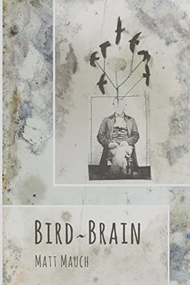 Bird-Brain by Matt Mauch (2016, Trade Paperback)