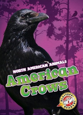 American Crows (North American Animals)