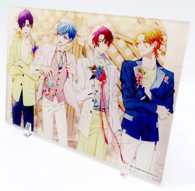 Switch Game Acryl Panel - 170x120mm, Hanawa Software Add-on