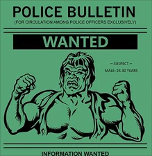 The Incredible HULK  tv show 70's Green  wanted poster T Shirt  Mens 